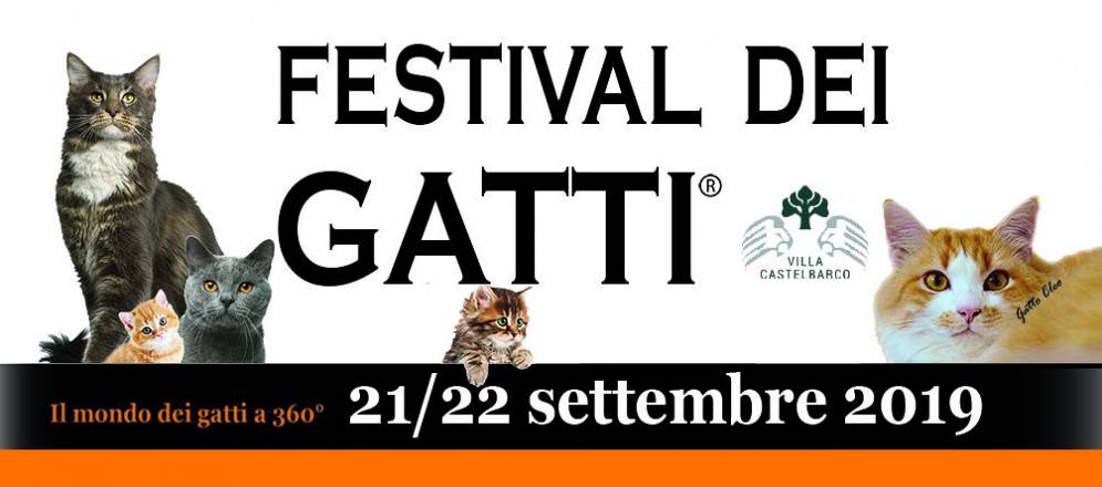Festival dei gatti